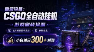 自营项目:CSGO全自动挂G,游戏搬砖捡漏,软件科技简单易用,长期稳定,小白单日300+利润【揭秘】-第一资源库