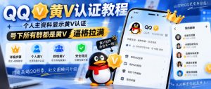 QQ黄V认证教程，个人主资料显示黄V认证，号下所有群都是黄V，逼格拉满-第一资源库