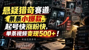 悬疑猎奇赛道：条条小爆款，起号快涨粉快，单条视频变现500+！收益仅供参考-第一资源库