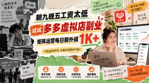 朝九晚五工资太低，试试多多虚拟店副业，矩阵运营每日额外搞1K+【揭秘】-第一资源库