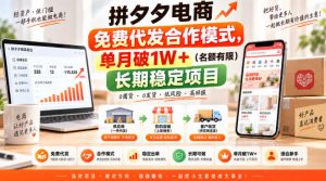 拼夕夕电商免费代发合作模式,单月破1W+(名额有限)长期稳定项目【揭秘】-第一资源库