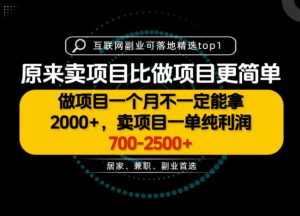 一单利润700-2.5K+，为什么我们要卖项目而不是做项目，我们普通人应该怎样开始？【揭秘】-第一资源库