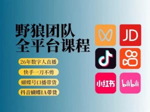 野狼团队2026新版全平台短视频带货教学，打开流量突破口，开始Ai带货（更新0913）-第一资源库