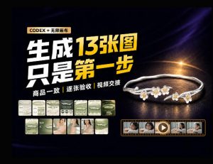 一张商品图，跑出13张电商图和15秒视频方案：这套Skill到底怎么工作？-第一资源库