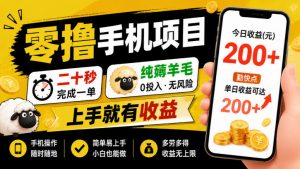 零撸手机项目，二十秒完成一单，纯薅羊毛，上手就有收益，勤快点单日收益可达200+【揭秘】-第一资源库