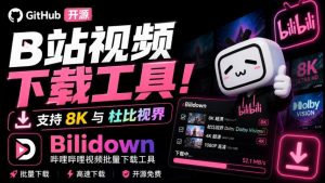 Github开源B站视频下载工具！支持8K与杜比视界的哔哩哔哩视频批量下载工具，简单易用Bilidown-第一资源库