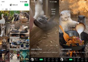猫咪慢生活短视频教学,AI搞笑萌宠赛道,视频号分成+精选独家+伙伴计划+商单收徒等多种变现方式-第一资源库