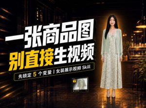 女装AI视频总翻车?问题不在提示词,女装展示视频Skill先锁定5个变量!-第一资源库
