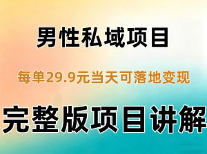 男性私域项目每单29.9,当天就能落地变现【不是S粉项目】详细拆解-第一资源库