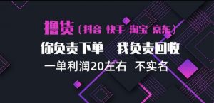 抖音淘宝快手买手项目,一单利润20左右,单号每天下三单,可矩阵【揭秘】-第一资源库