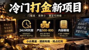 冷门打金新项目，24小时托管，产出500-800，内部教程【揭秘】-第一资源库