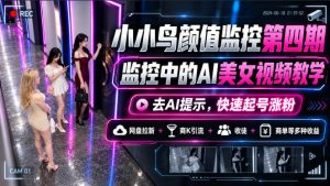 小小鸟颜值监控第四期,监控中的AI美女视频教学,去AI提示,快速起号涨粉,网盘拉新+商K引流+收徒+商单等多种收益-第一资源库