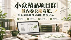 小众精品项目群|低内卷长期赛道,单人可落地细分项目持续分享-第一资源库