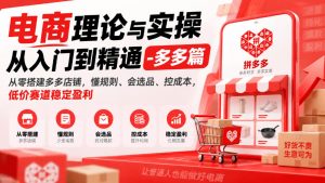 电商理论与实操从入门到精通-多多篇，从零搭建多多店铺，懂规则、会选品、控成本，低价赛道稳定盈利-第一资源库