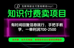 一单利润700-2.5k,有时间回信息就行,手把手带你做知识付费卖项目!一天稳定2-3单!【揭秘】-第一资源库