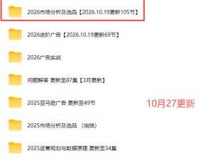 2026亚马逊视频教程,学习我们的商业模式,以及2026最新的选品及运营经验(更新1027)-第一资源库