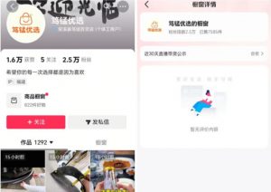 无需实拍也能做好抖音车载带货项目，收益非常稳定，每天坚持发就可以！-第一资源库